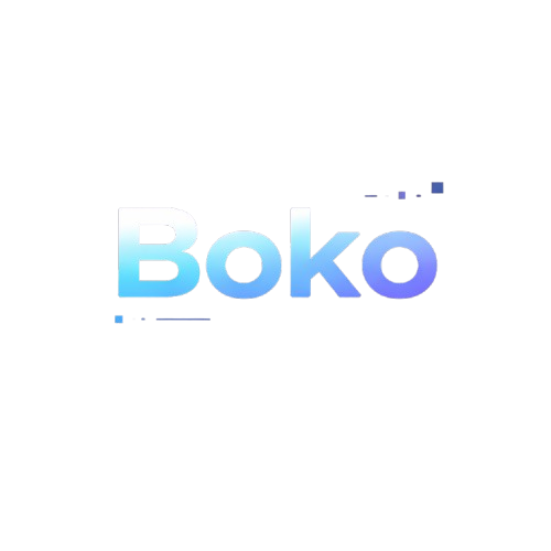 Boko Logo